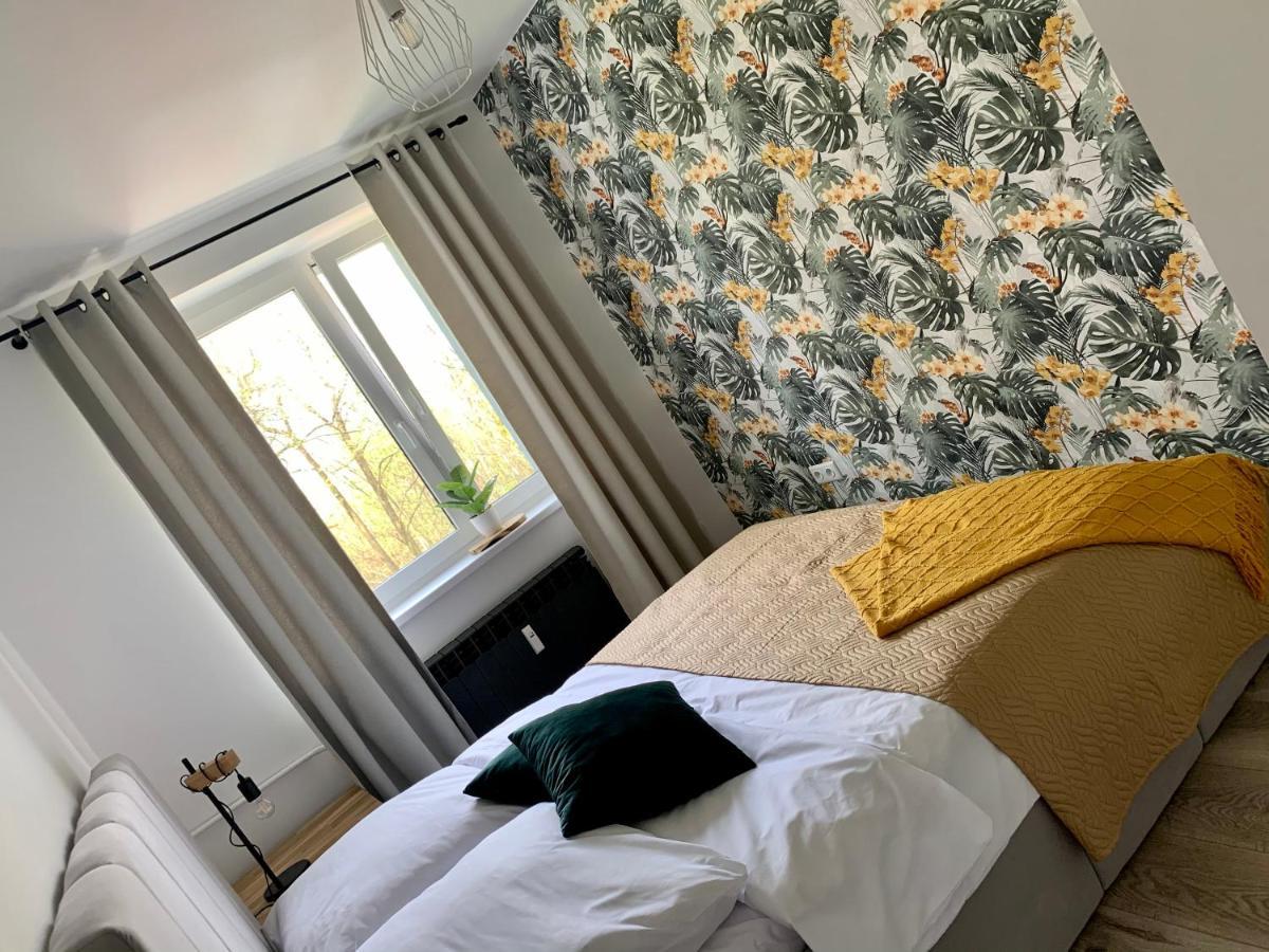 Apartament Forest Green Świeradów-Zdrój Eksteriør bilde