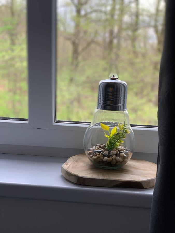 Apartament Forest Green Świeradów-Zdrój Eksteriør bilde