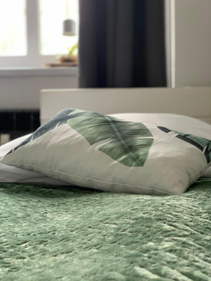 Apartament Forest Green Świeradów-Zdrój Eksteriør bilde