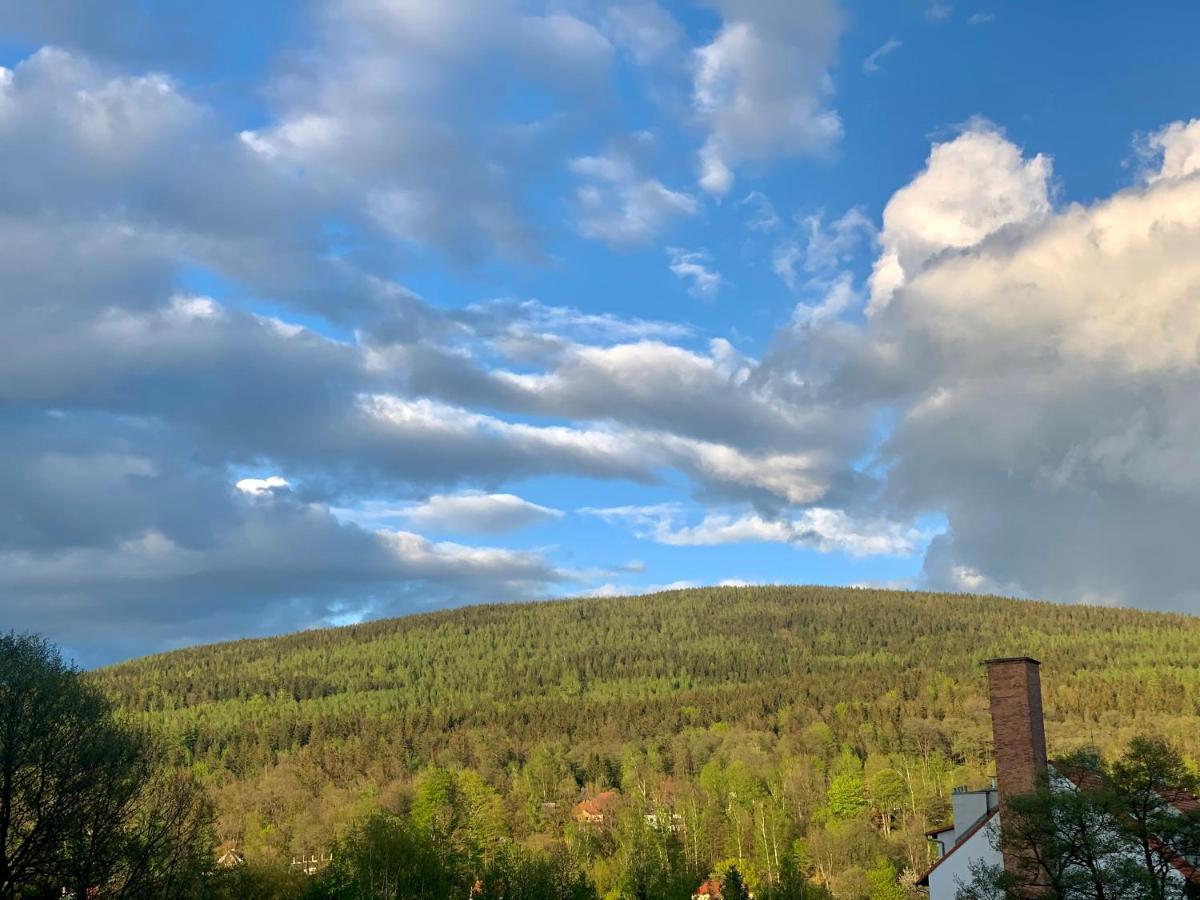 Apartament Forest Green Świeradów-Zdrój Eksteriør bilde